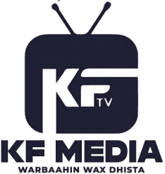 KF Media TV